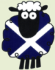 Scottishsheep